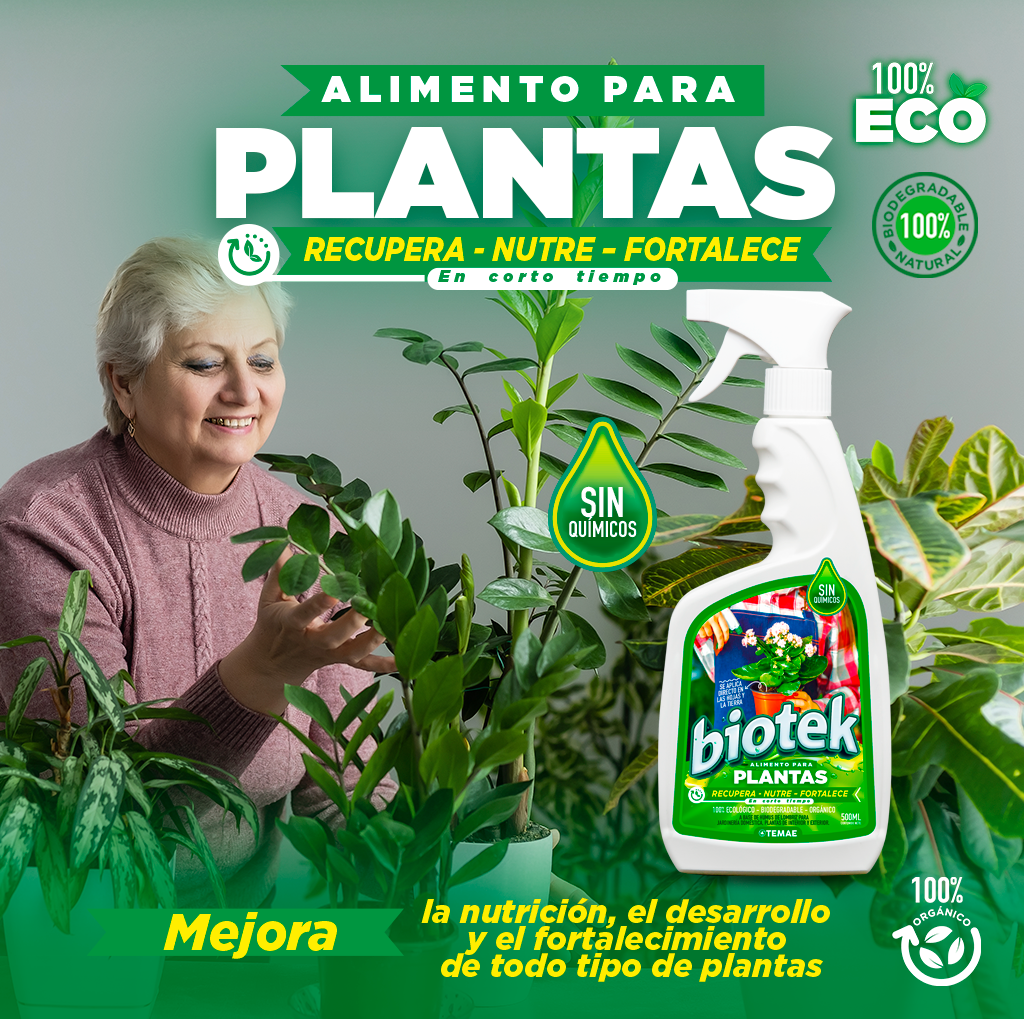😍2 X 1😮EL SECRETO PARA UNAS PLANTAS HERMOSAS🌻EN 500ML☘️
