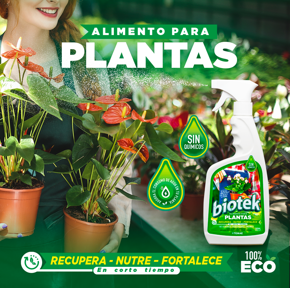 😍2 X 1😮EL SECRETO PARA UNAS PLANTAS HERMOSAS🌻EN 500ML☘️