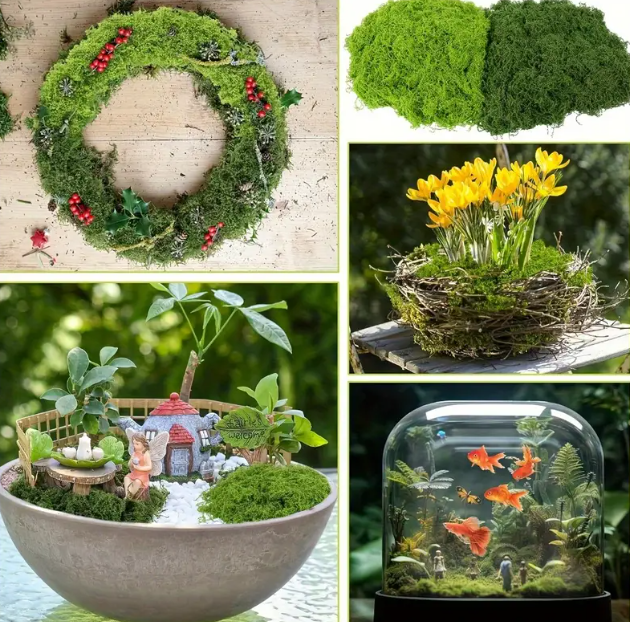 🎄🎉MUSGO NAVIDEÑO TENDENCIA 2025🎅✨PARA PESEBRES Y DECORACIONES🎁🎇