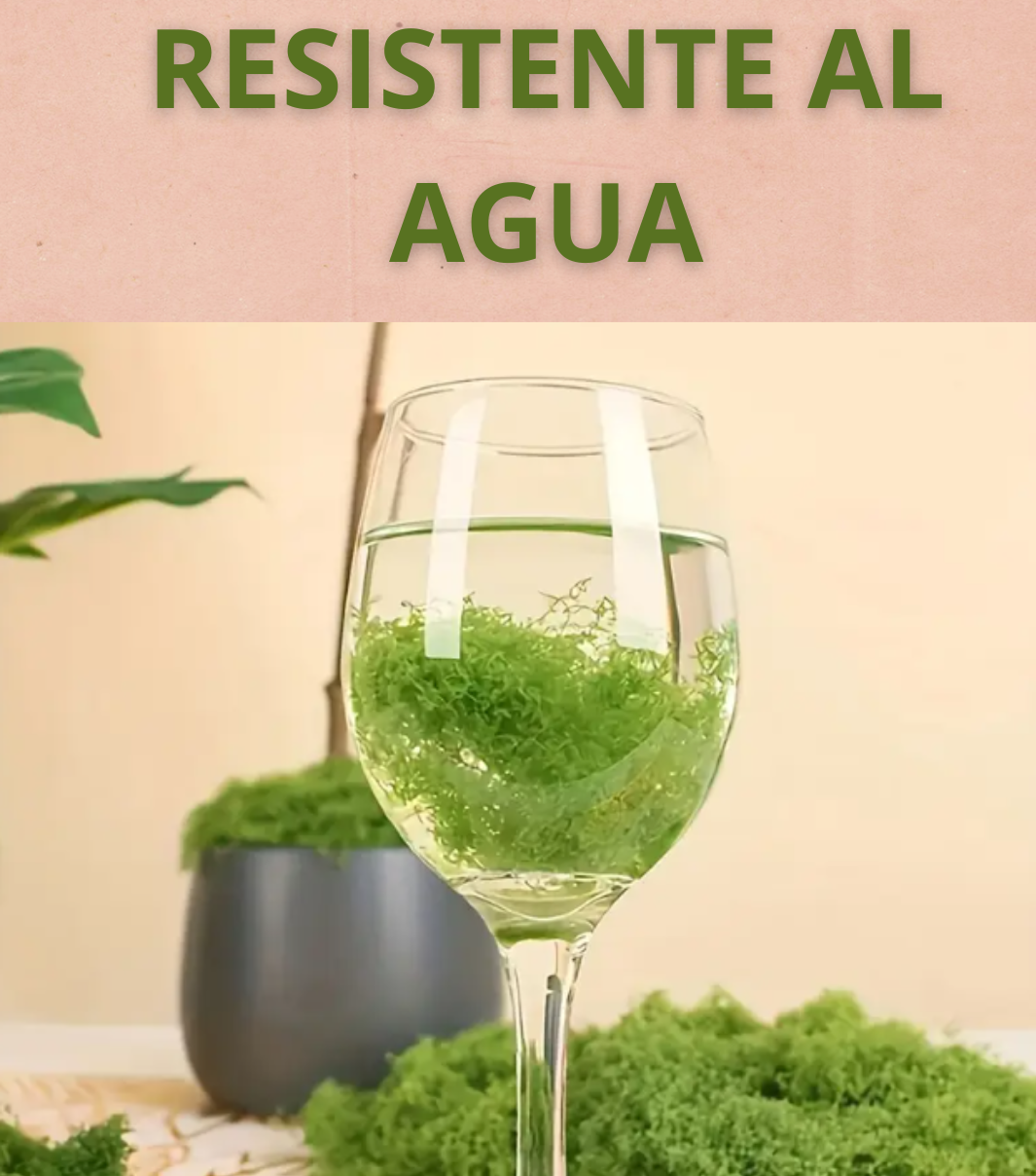 🎄🎉MUSGO NAVIDEÑO TENDENCIA 2025🎅✨PARA PESEBRES Y DECORACIONES🎁🎇